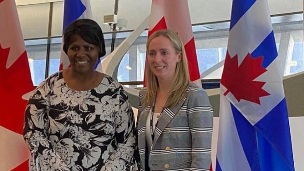 Watch Toronto’s newest city councillor resigns hours after appointment over anti-LGBTQ social media posts | CBC News – Latest News