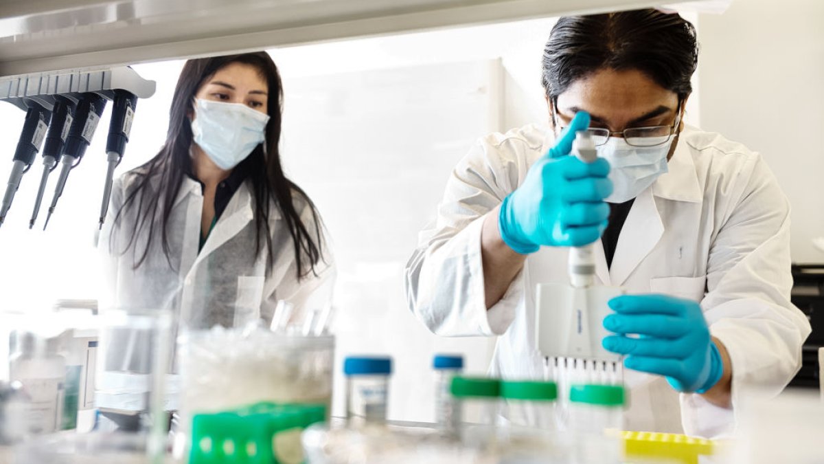 Watch State Averaging More Than 6K Cases Per Day as Hospitalizations Rise – NBC Chicago – Latest News