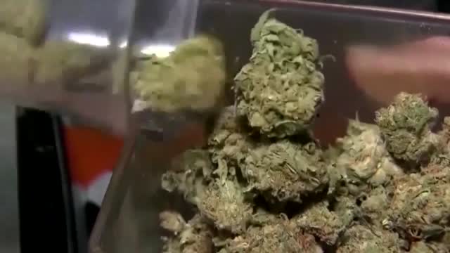 Watch Bill to legalize recreational marijuana in Rhode Island heads to full floor – Latest News