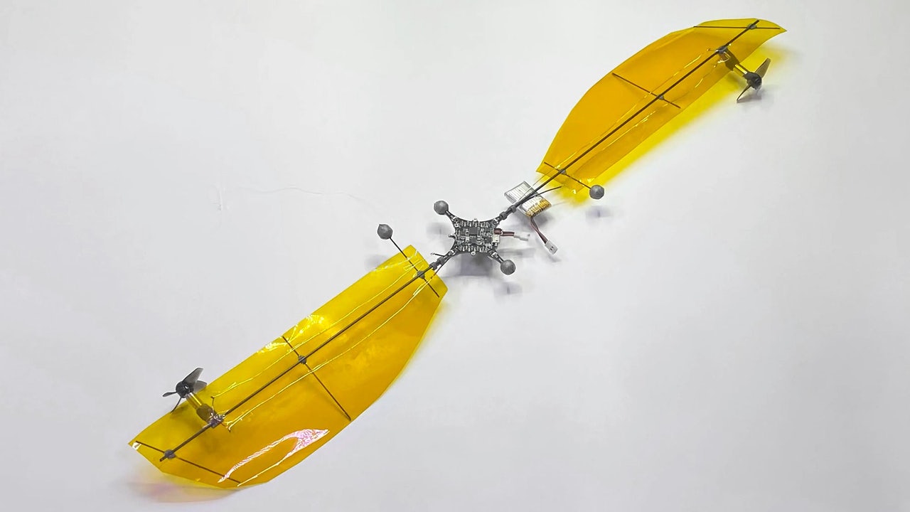 Watch Maple Seeds Inspired This Lightweight Low-Power Microdrone That Can Fly For Almost Half an Hour – Latest News