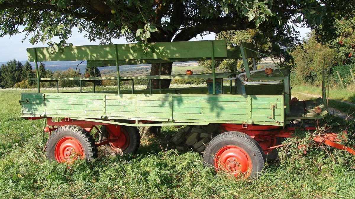 Watch Vatertag: Gefährliche Hänger-Partie – kicker – Trending News