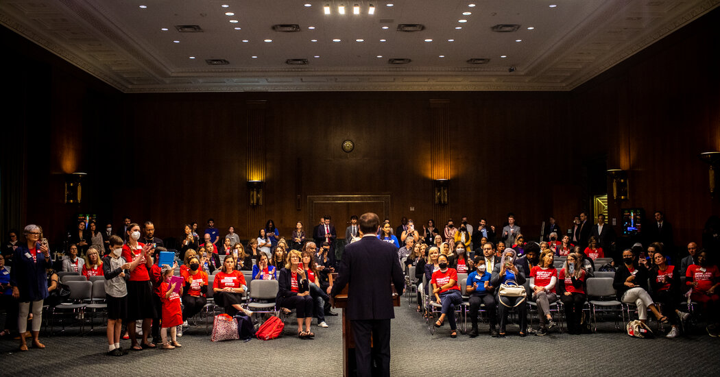 Watch Leaving Wish Lists at the Door, Senators Found Consensus on Guns – Latest News