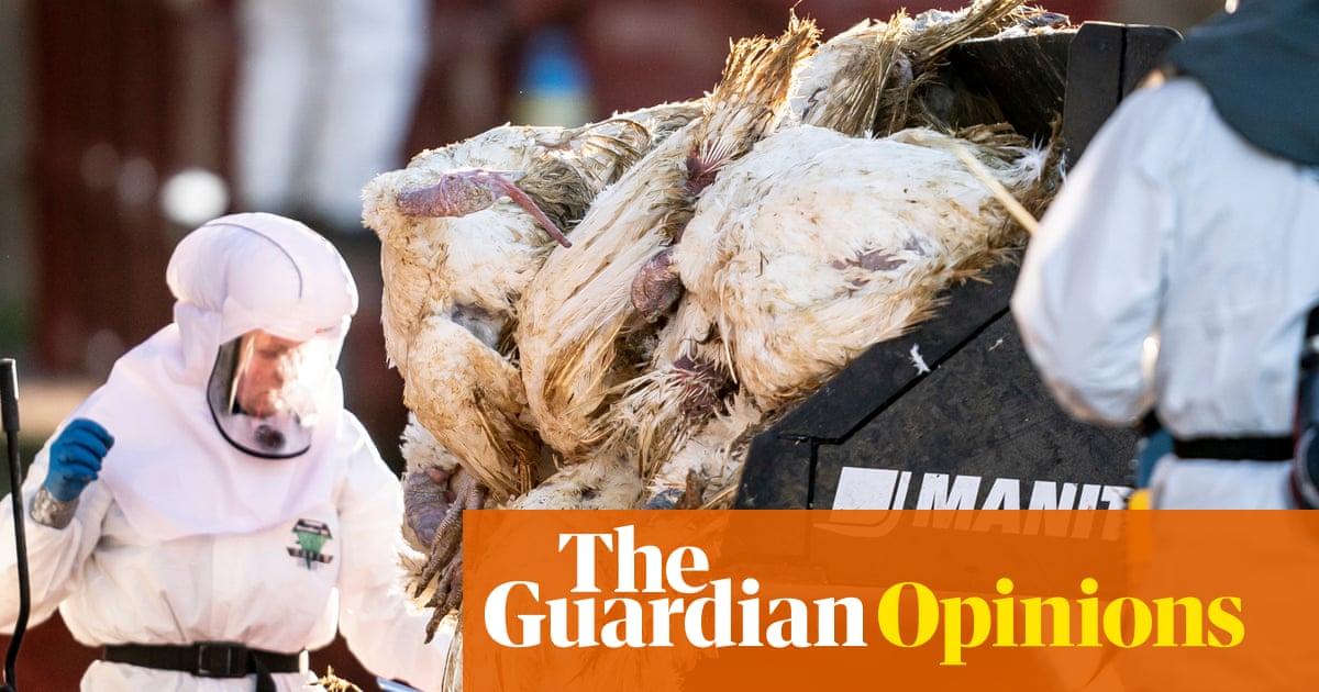 Watch Monkeypox isn’t the disease we should be worried about | John Vidal – The Guardian News