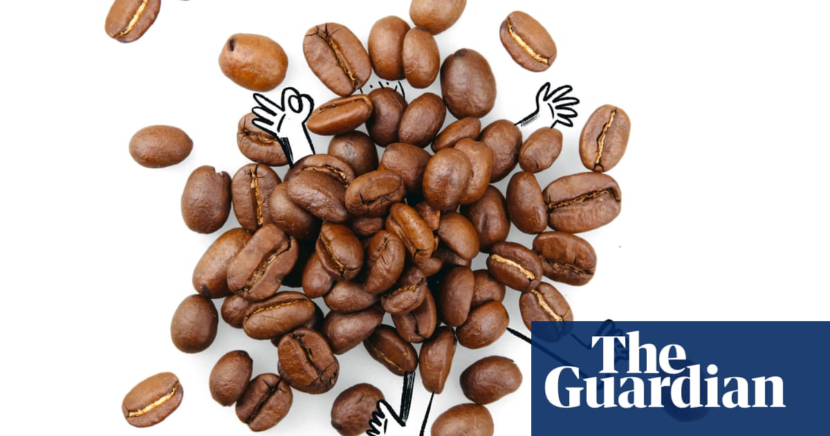 Watch Coffee bad, red wine good? Top food myths busted | Food science – Latest News