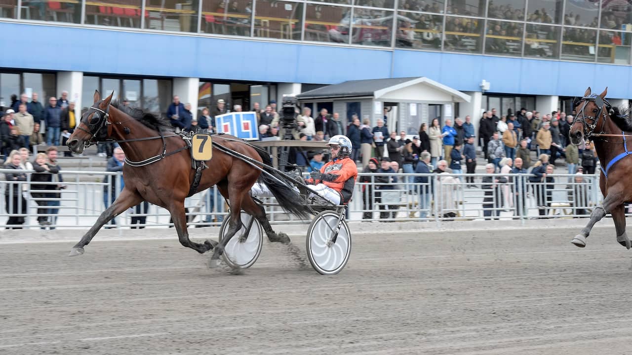 Watch Then my horse should have a good chance of winning
 – Latest News