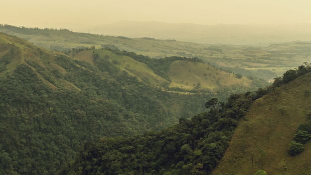 Watch The quest to explore Colombia’s untouched jungle – Latest News