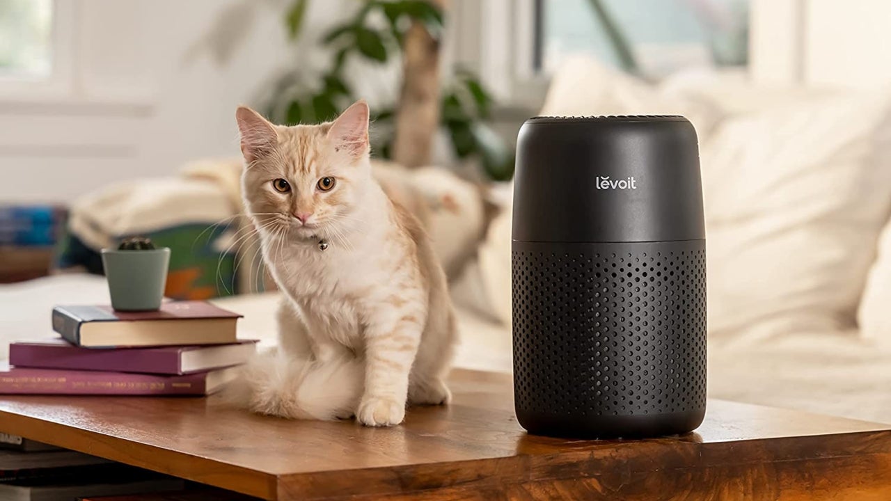 Watch Best Early Amazon Prime Day 2022 Deals on Air Purifiers – Latest Deals & Offers