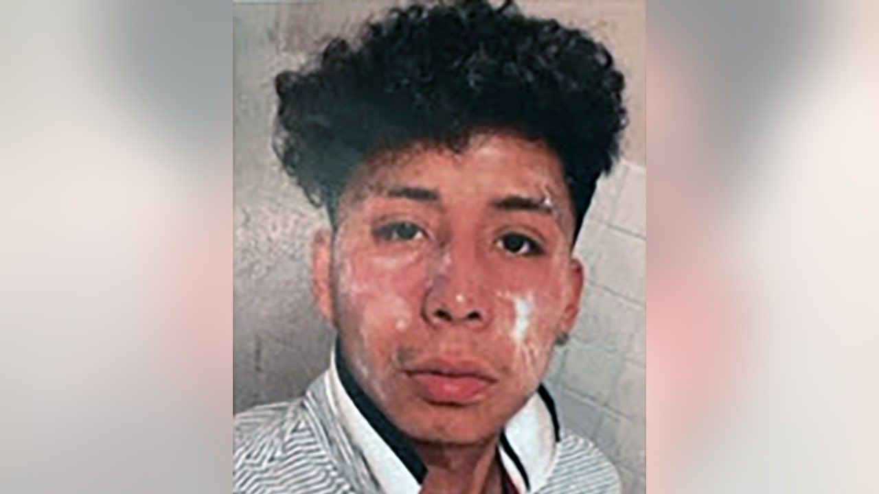 Watch Florida Amber Alert: Suspect arrested in metro Atlanta, teen safe, police say – Latest News