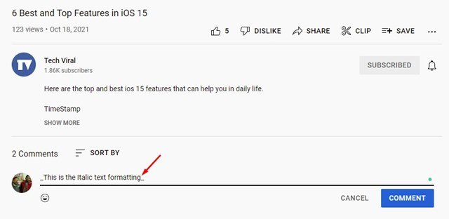 Italics Comments on YouTube Videos