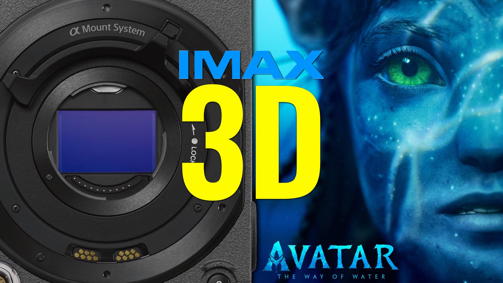 Watch Thoughts on Avatar 2 Trailer: Go IMAX 3D or Go Home – Y.M.Cinema – Latest News