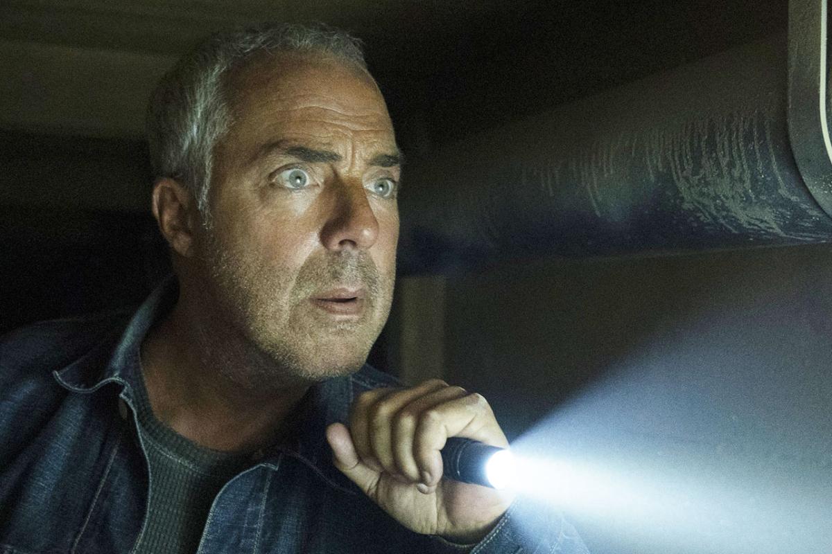 Watch Legacy’ Episode 9 Be on Amazon Freevee? – Netflix Updates