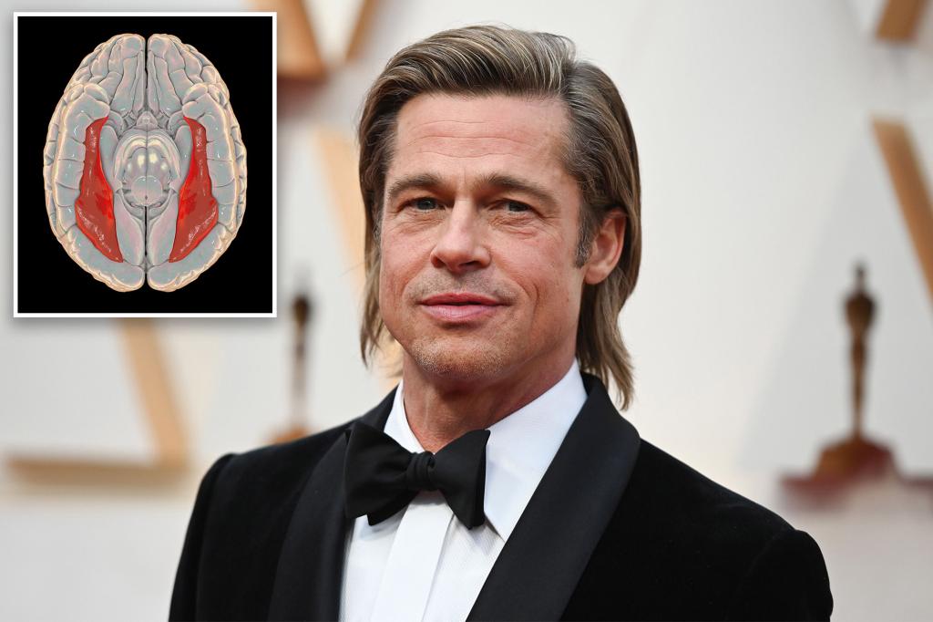 Watch What is prosopagnosia? All about Brad Pitt’s face blindness condition – Latest News