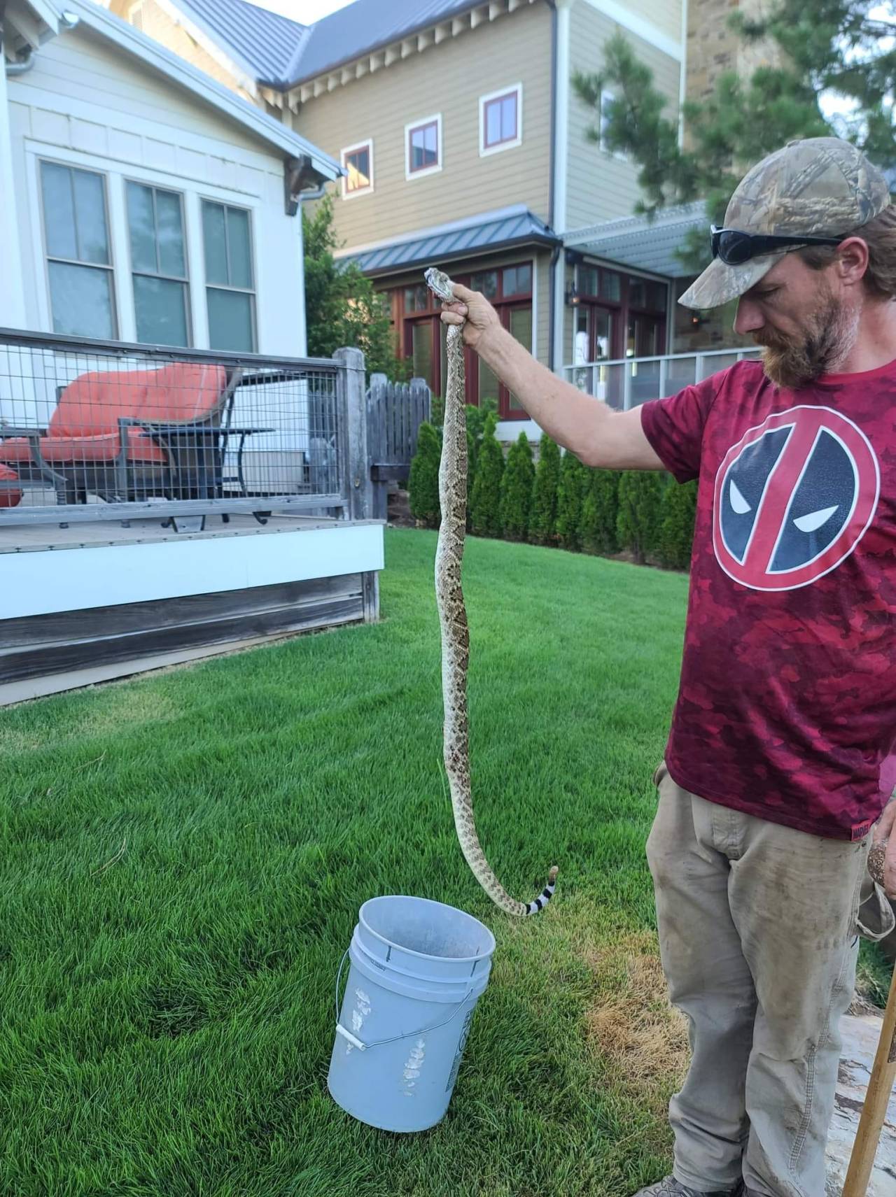 Watch Rattlesnake kills dog at Carlton Landing on Lake Eufaula – Latest News