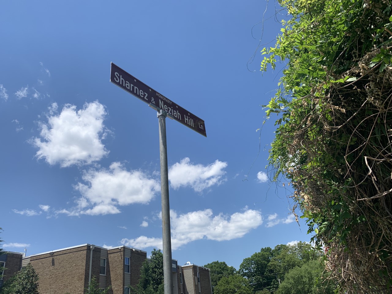 Watch Street sign honors mother, infant daughter killed in Richmond’s Southside – Latest News